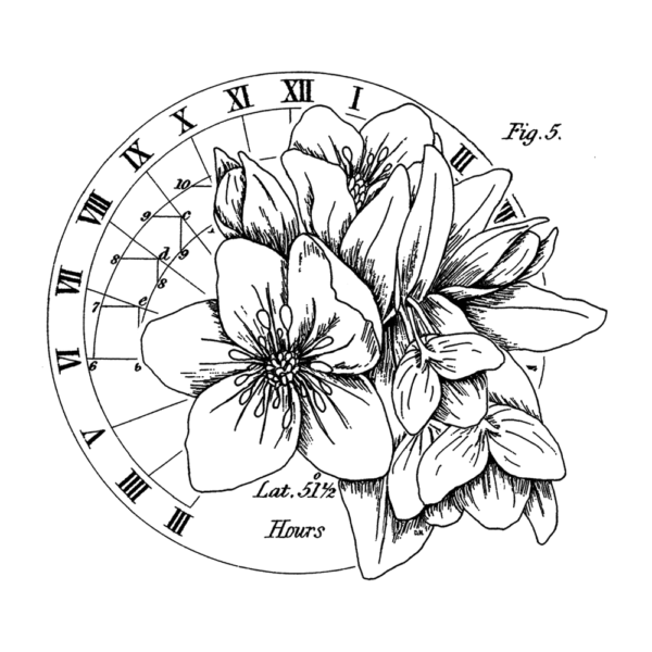 The Circle of Latitudes