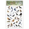 Songbird Stickers